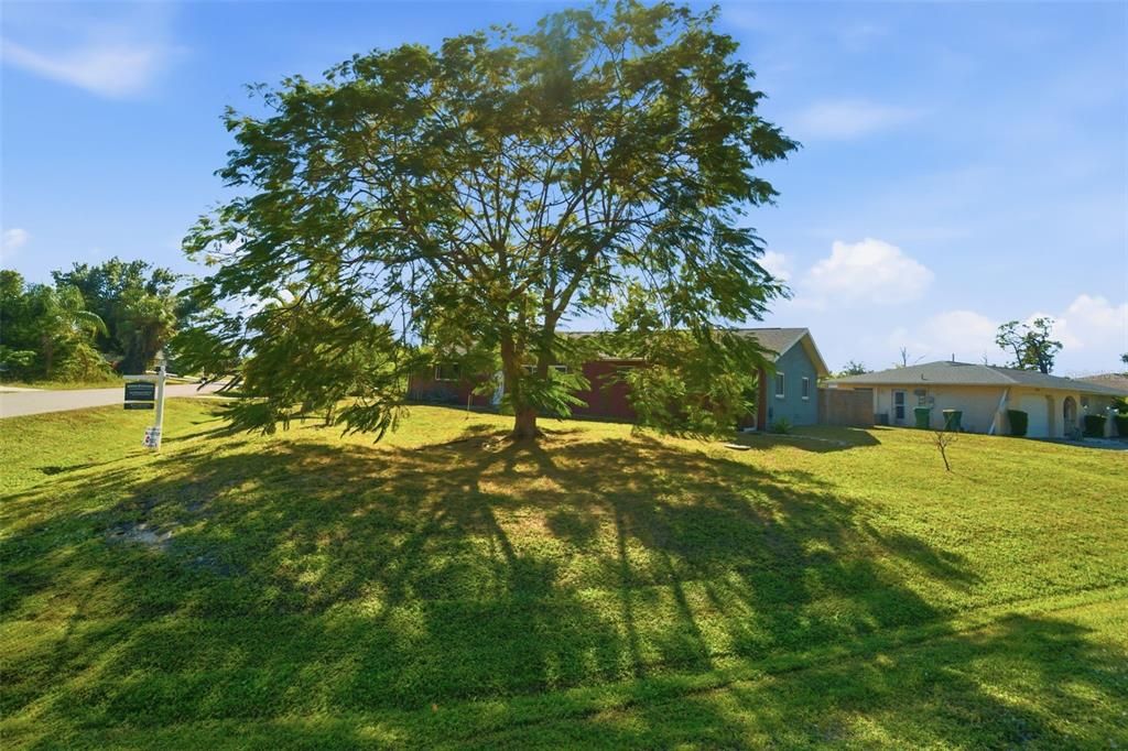 Под контрактом: $239,000 (3 спален, 2 ванн, 1748 Квадратных фут)