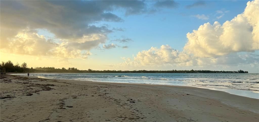 Recently Rented: $1,800 (2 beds, 2 baths, 636 Square Feet)