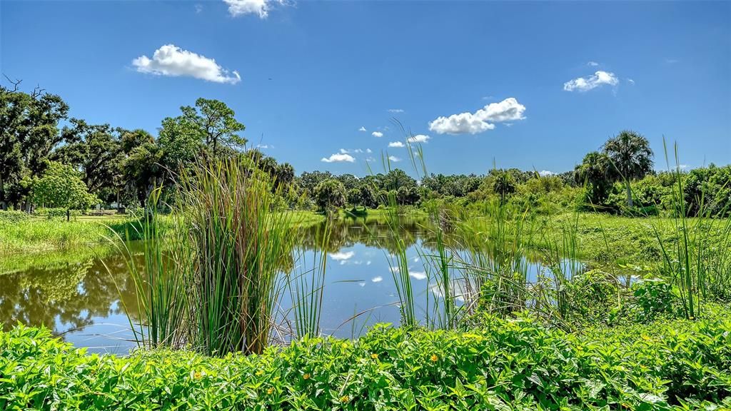 Active With Contract: $1,600,000 (11.68 acres)