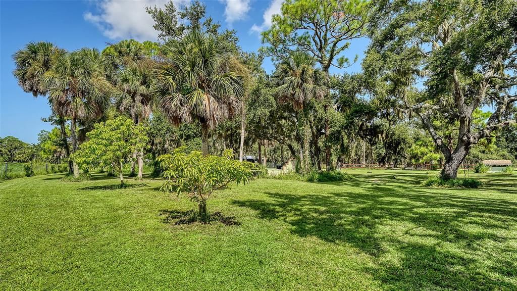 Active With Contract: $1,600,000 (11.68 acres)