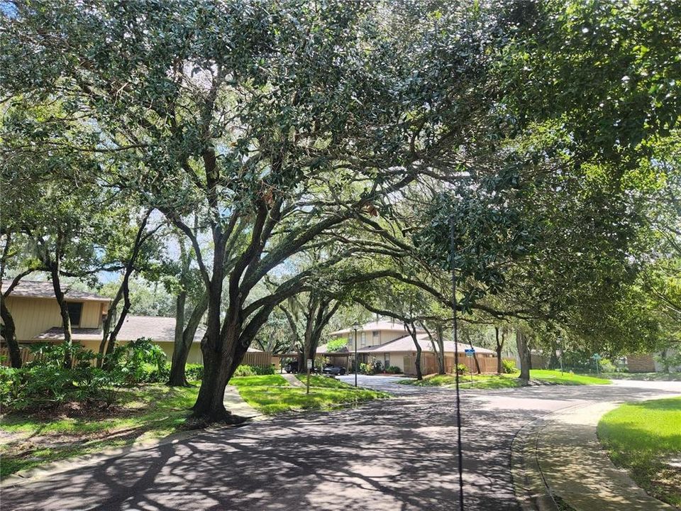 For Sale: $230,000 (3 beds, 2 baths, 1247 Square Feet)