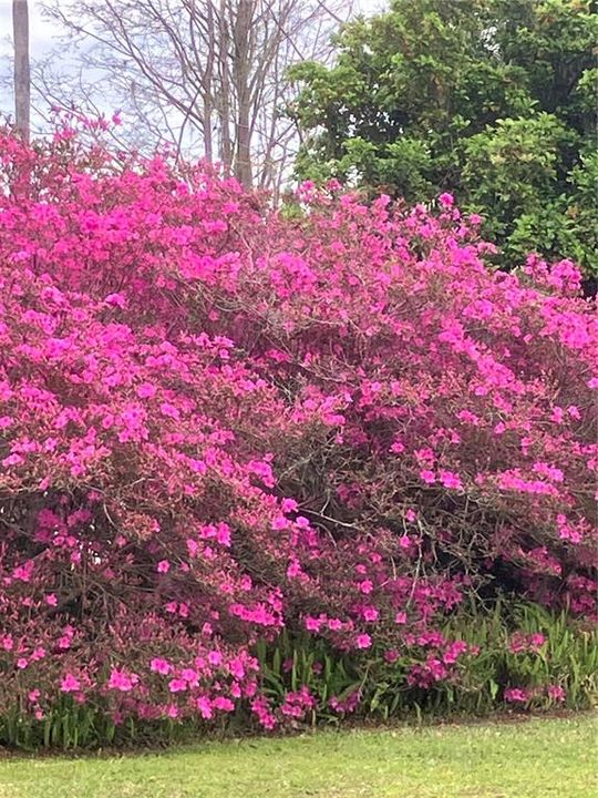 待售: $699,000 (4 贝兹, 2 浴室, 2498 平方英尺)