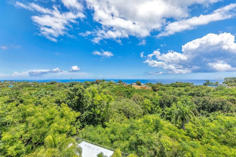 На продажу: $510,000 (2 спален, 2 ванн, 1229 Квадратных фут)