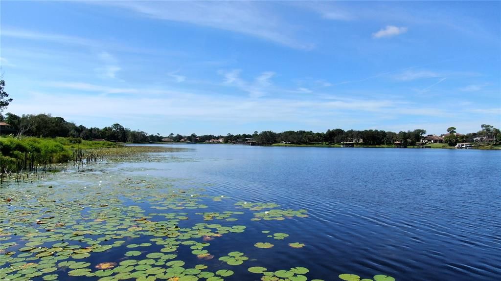 For Sale: $6,500,000 (25.33 acres)