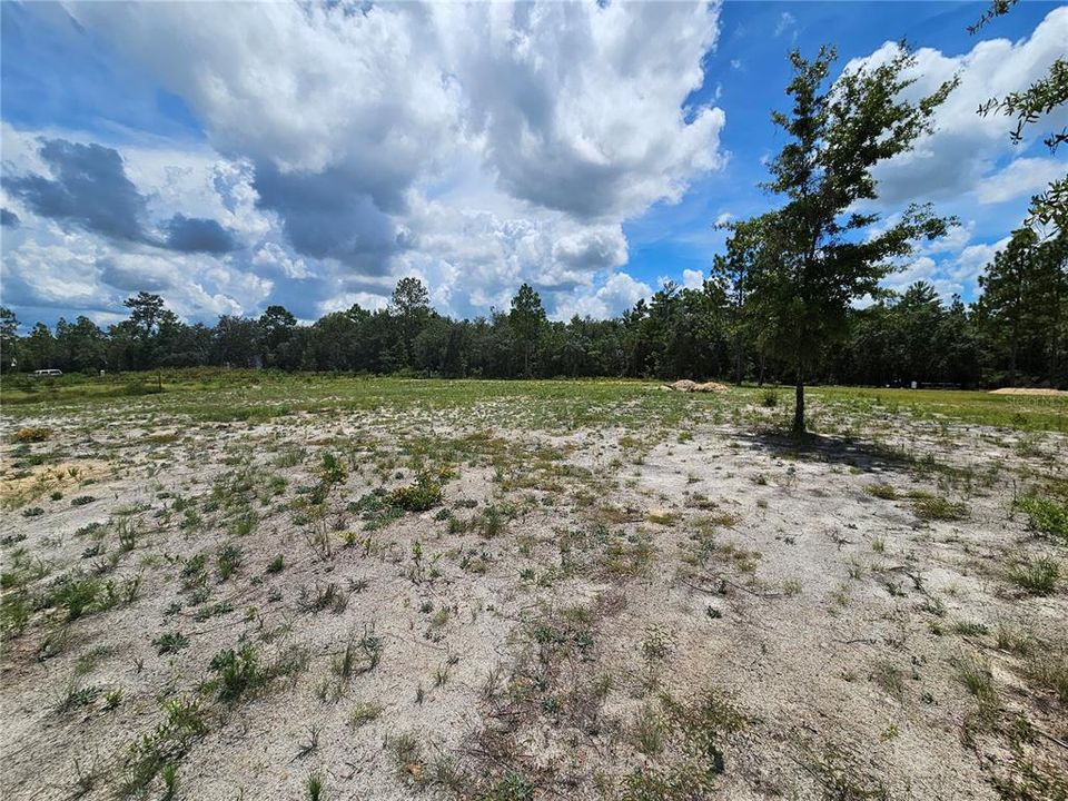 На продажу: $40,000 (1.25 acres)
