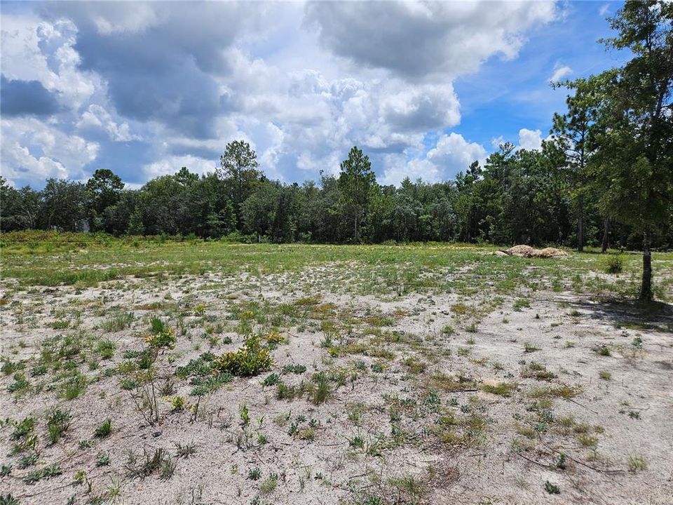 На продажу: $40,000 (1.25 acres)