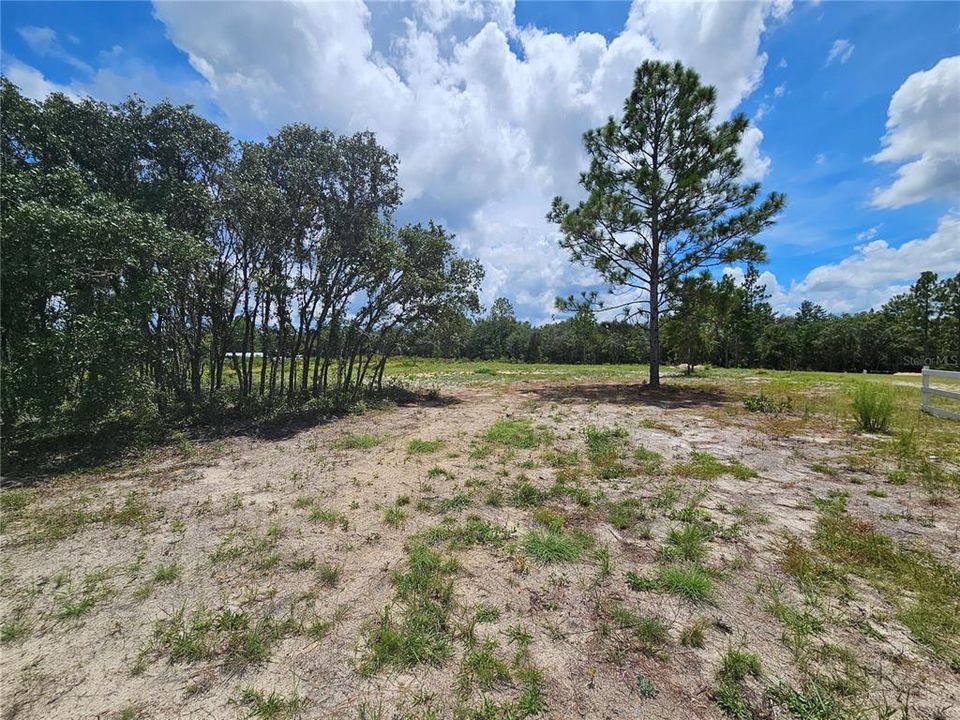 На продажу: $40,000 (1.25 acres)