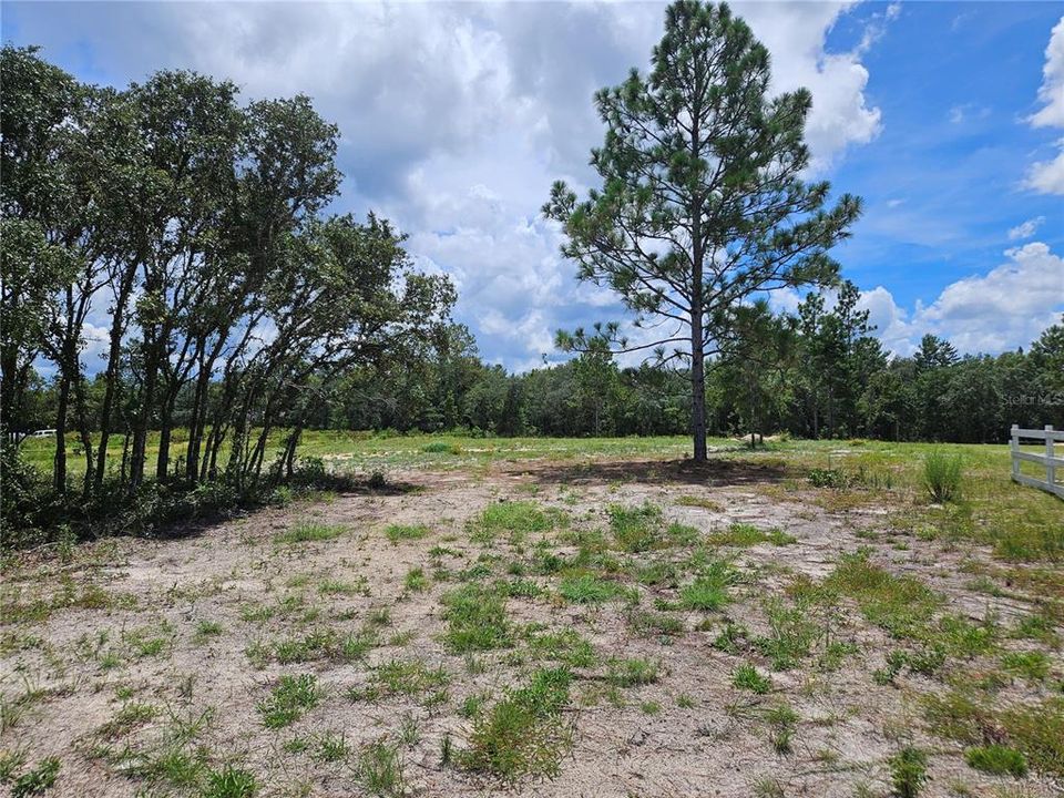 На продажу: $40,000 (1.25 acres)