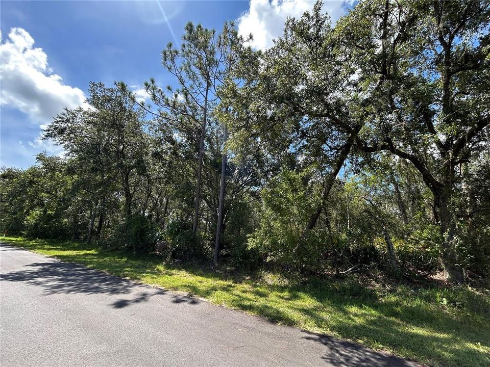 待售: $19,000 (0.55 acres)