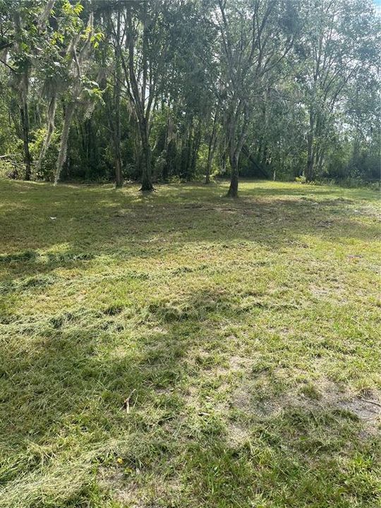 For Sale: $79,990 (0.77 acres)