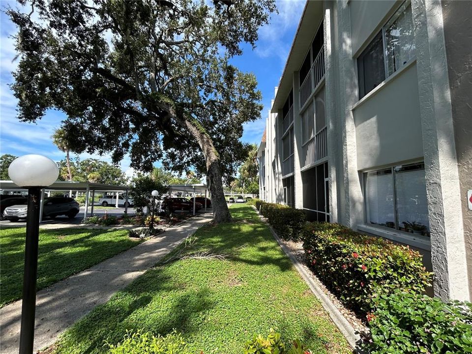 Active With Contract: $115,000 (2 beds, 2 baths, 906 Square Feet)