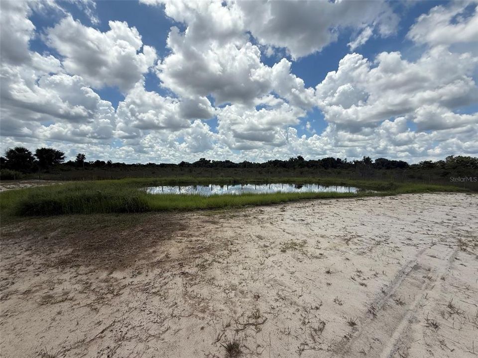 En Venta: $49,999 (1.25 acres)