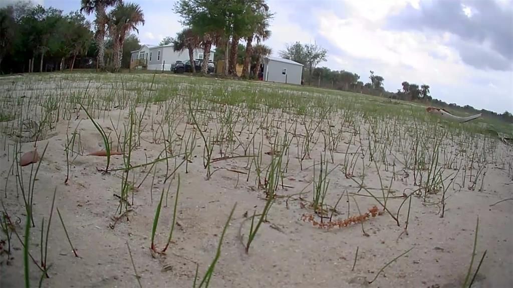 En Venta: $49,999 (1.25 acres)