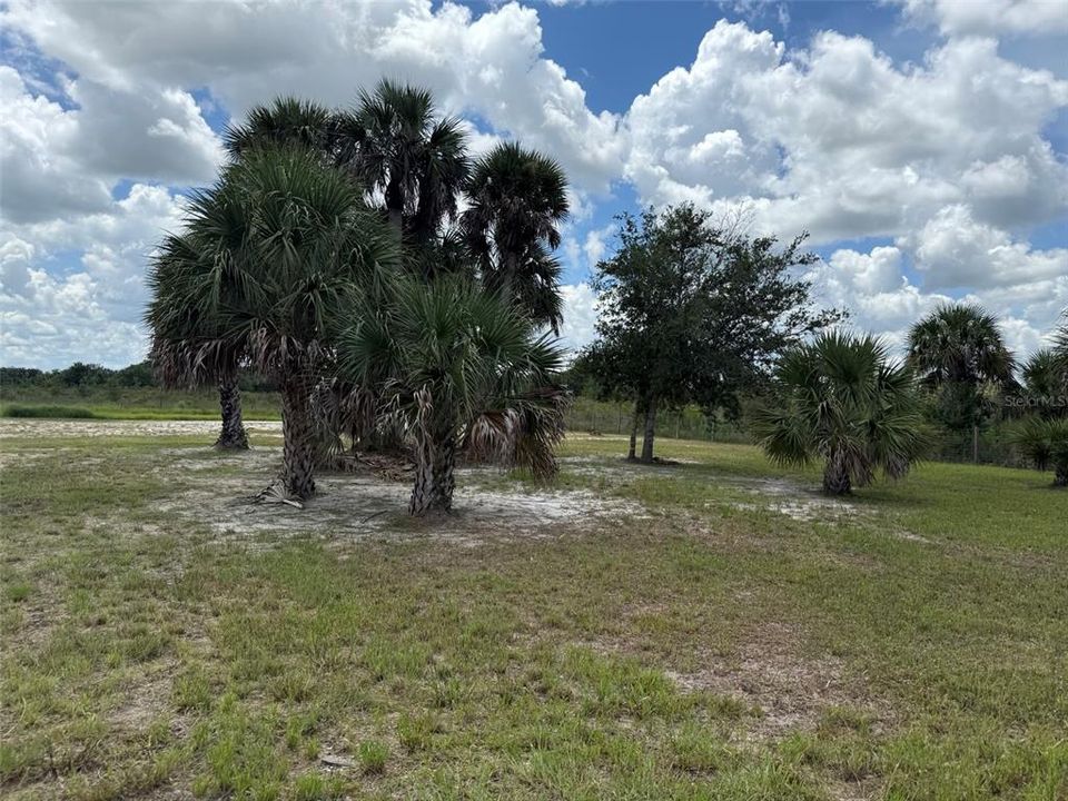 En Venta: $49,999 (1.25 acres)