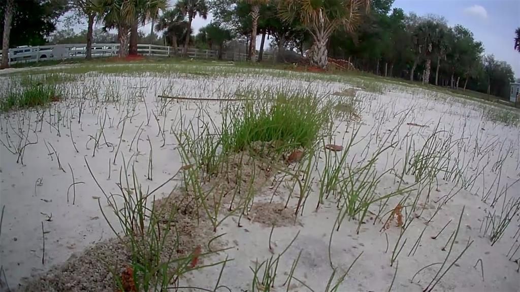 En Venta: $49,999 (1.25 acres)