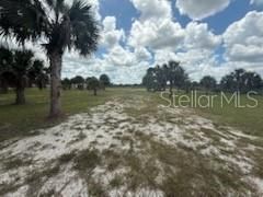 En Venta: $49,999 (1.25 acres)