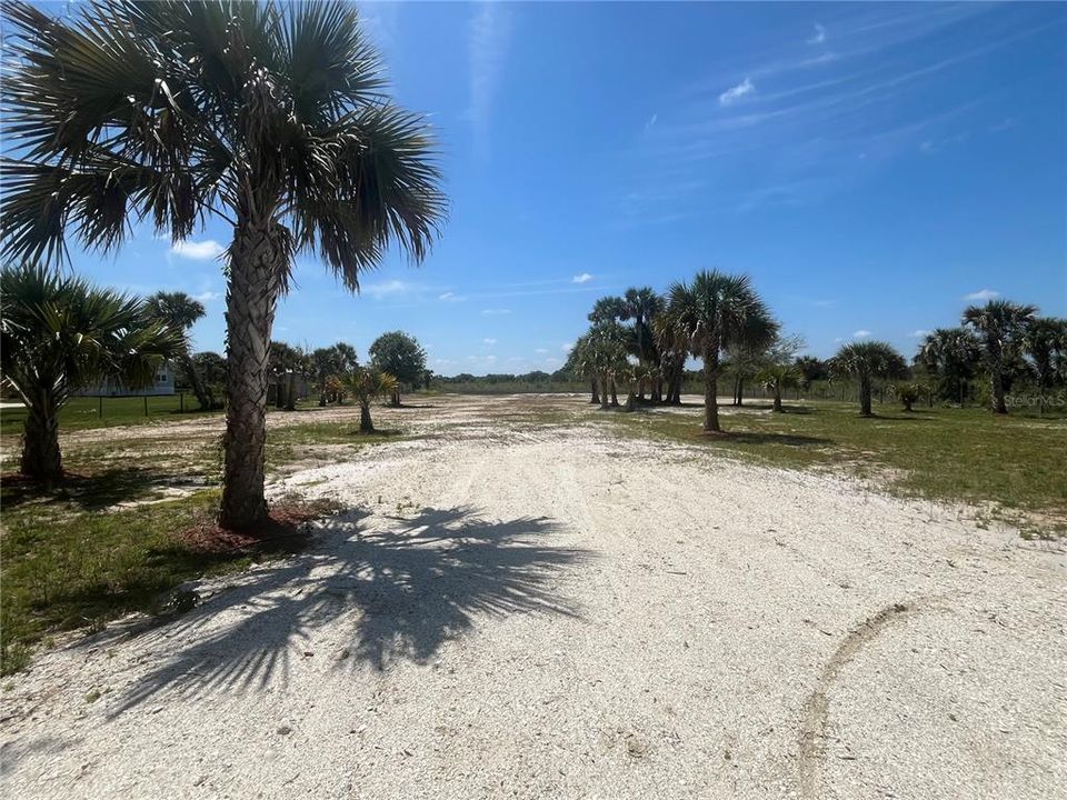 En Venta: $49,999 (1.25 acres)