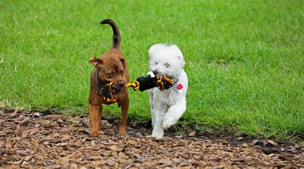 合同活跃: $504,900 (5 贝兹, 4 浴室, 3059 平方英尺)