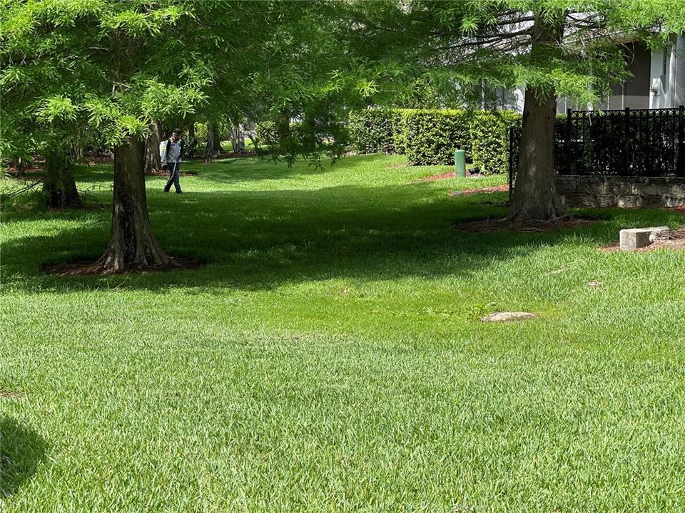 出租: $1,600 (2 贝兹, 2 浴室, 1152 平方英尺)