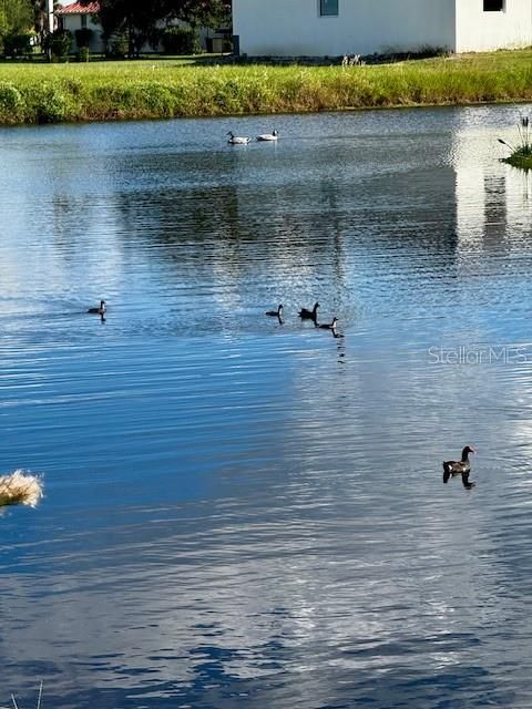 最近售出: $39,000 (0.23 acres)