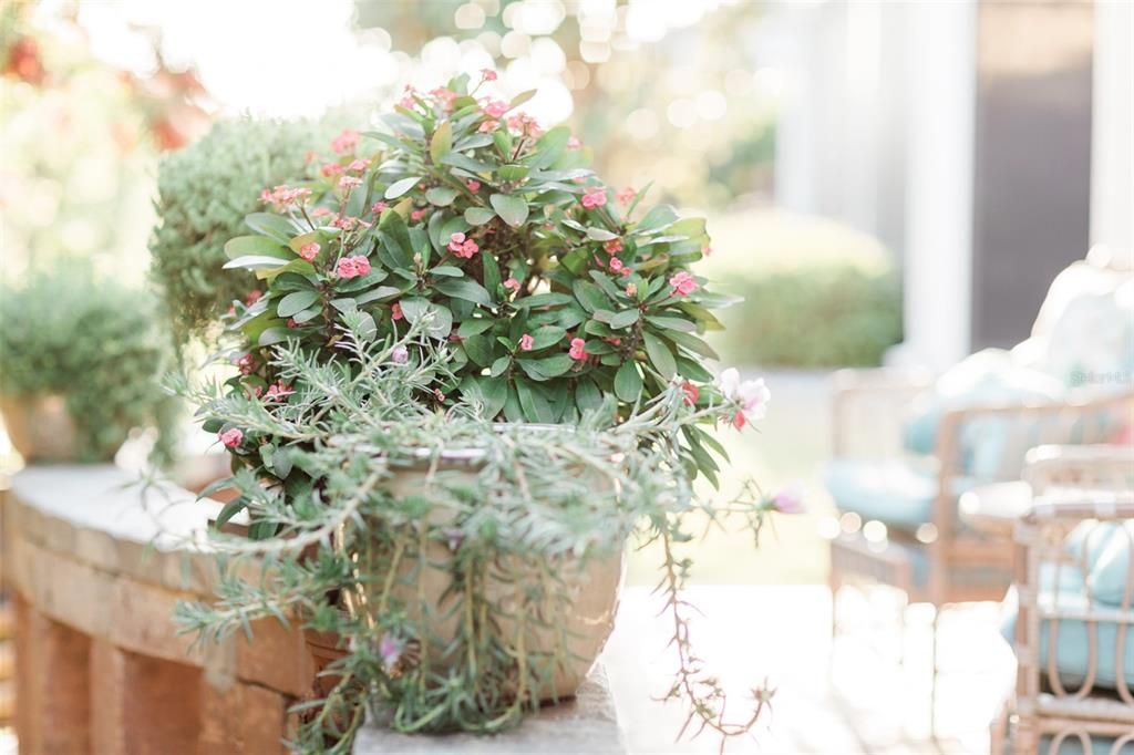 合同活跃: $625,000 (3 贝兹, 2 浴室, 2107 平方英尺)