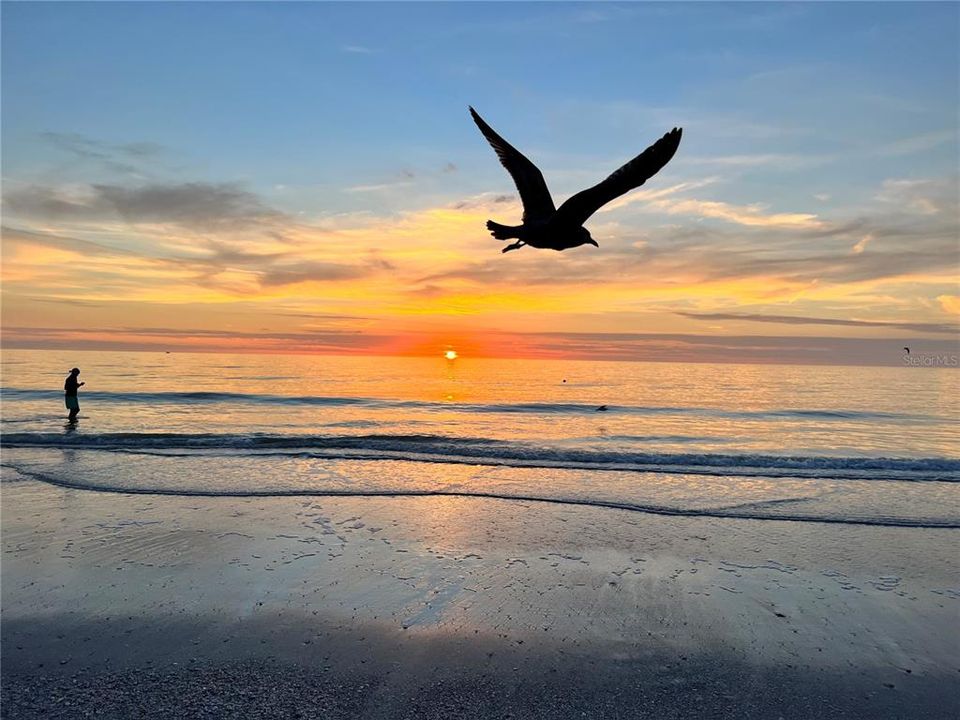 Active With Contract: $849,000 (3 beds, 2 baths, 1536 Square Feet)