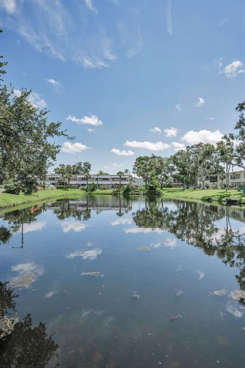 For Sale: $98,500 (1 beds, 1 baths, 652 Square Feet)