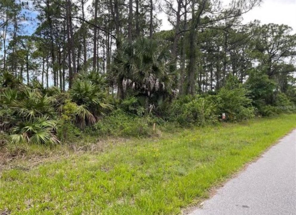 For Sale: $9,900 (0.22 acres)