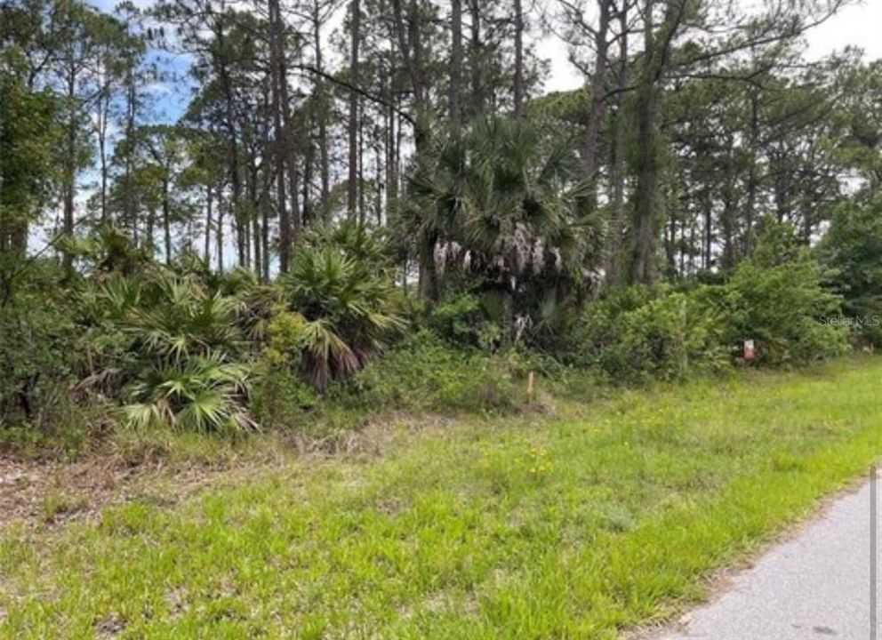 For Sale: $9,900 (0.22 acres)