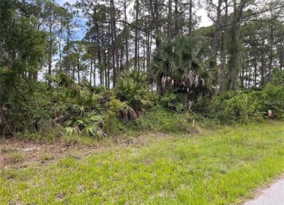 For Sale: $9,900 (0.22 acres)