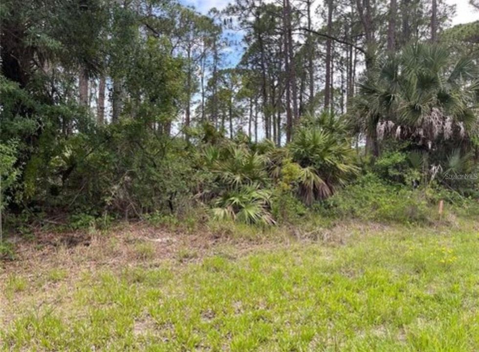For Sale: $9,900 (0.22 acres)