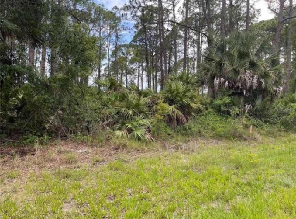 For Sale: $9,900 (0.22 acres)