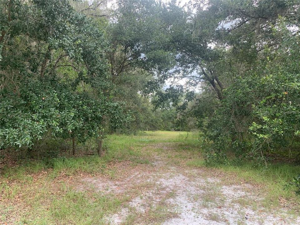 待售: $250,000 (1 贝兹, 1 浴室, 672 平方英尺)