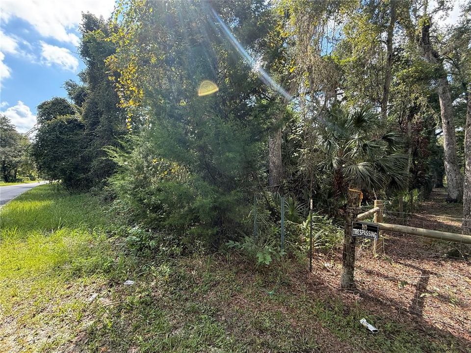 For Sale: $59,900 (5.00 acres)