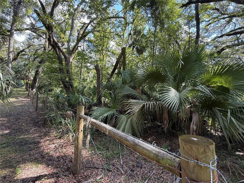 For Sale: $59,900 (5.00 acres)