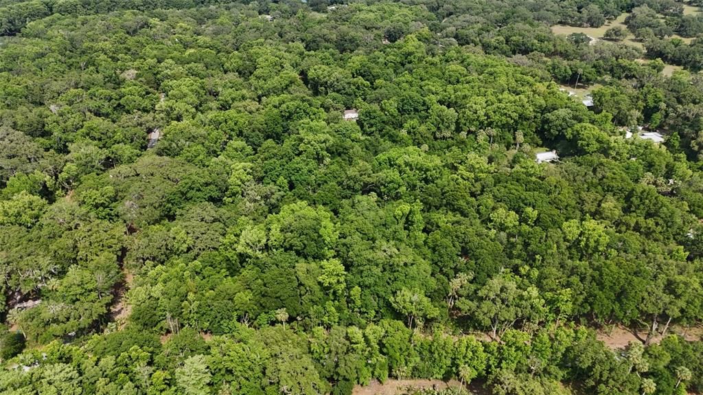 For Sale: $129,400 (3.71 acres)