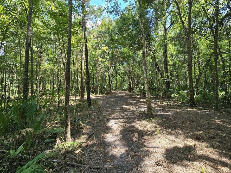 For Sale: $129,400 (3.71 acres)