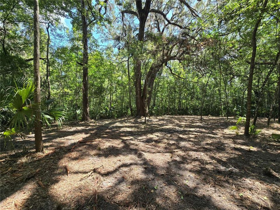 For Sale: $129,400 (3.71 acres)