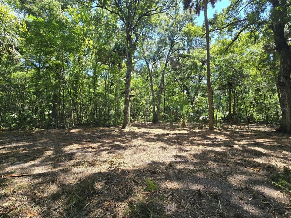 For Sale: $129,400 (3.71 acres)