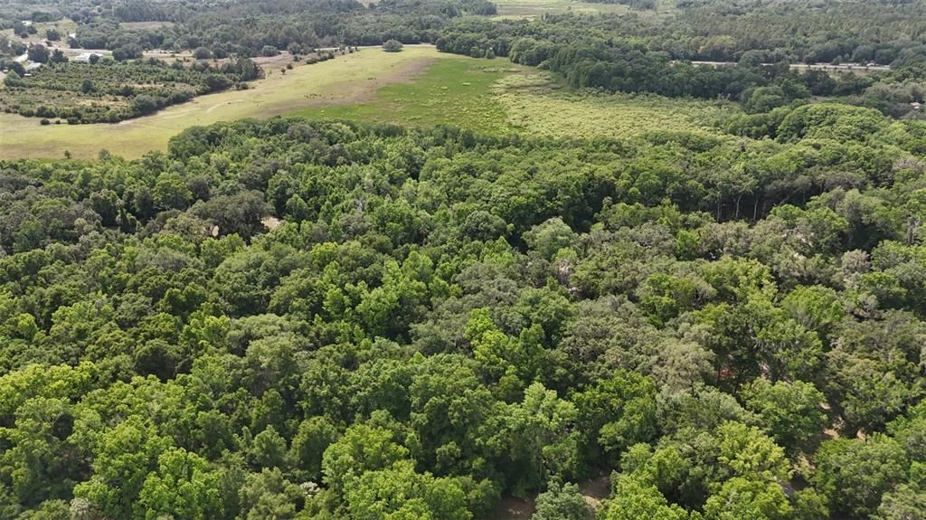 For Sale: $129,400 (3.71 acres)