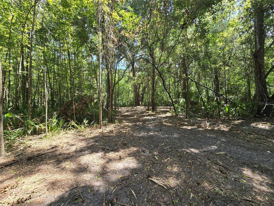 For Sale: $129,400 (3.71 acres)
