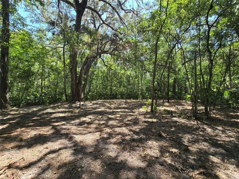For Sale: $129,400 (3.71 acres)
