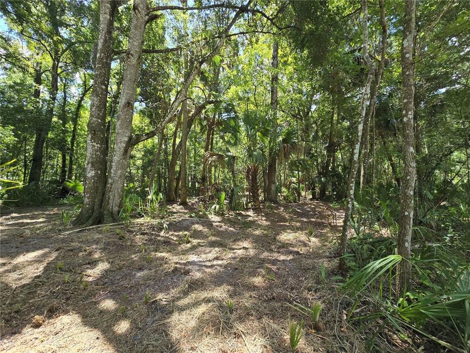 For Sale: $129,400 (3.71 acres)