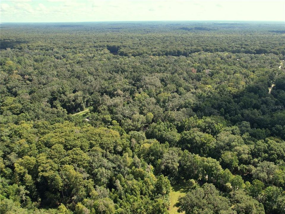 For Sale: $129,400 (3.71 acres)