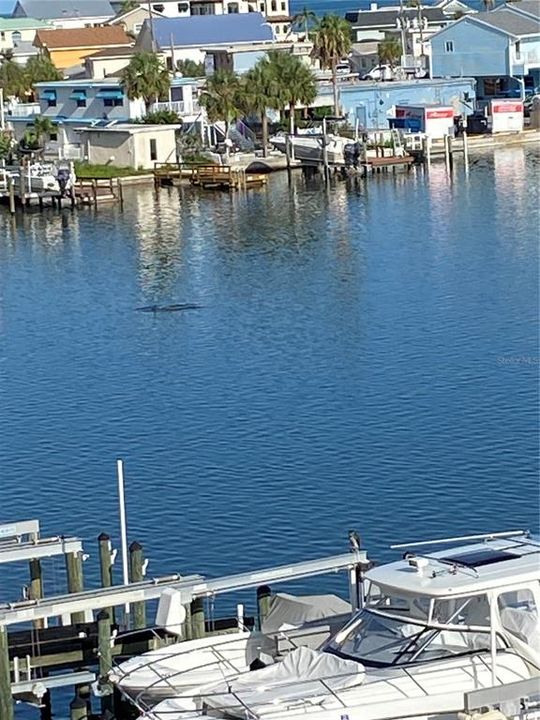 For Sale: $848,500 (3 beds, 3 baths, 1995 Square Feet)