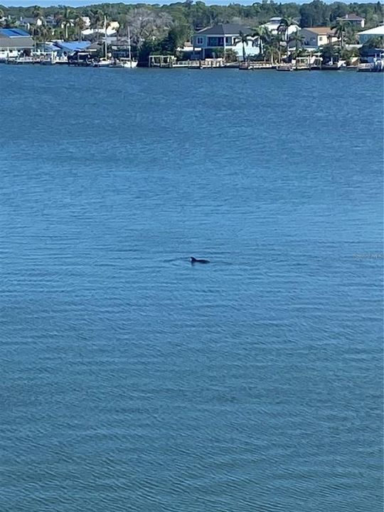 For Sale: $848,500 (3 beds, 3 baths, 1995 Square Feet)