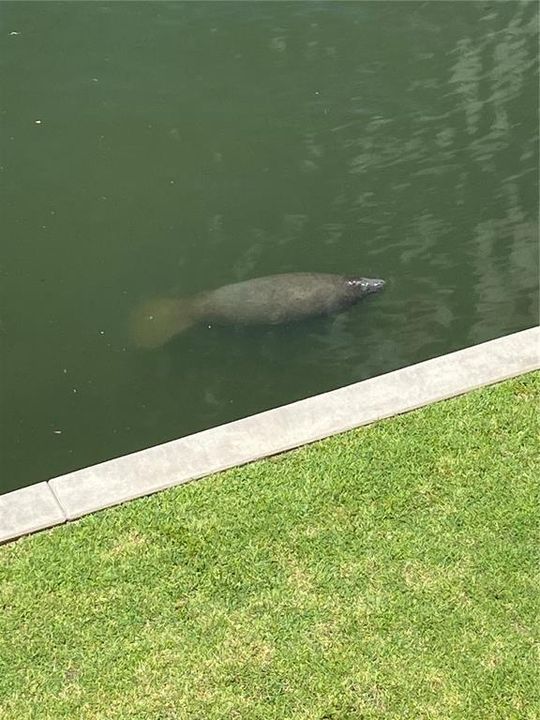 For Sale: $848,500 (3 beds, 3 baths, 1995 Square Feet)