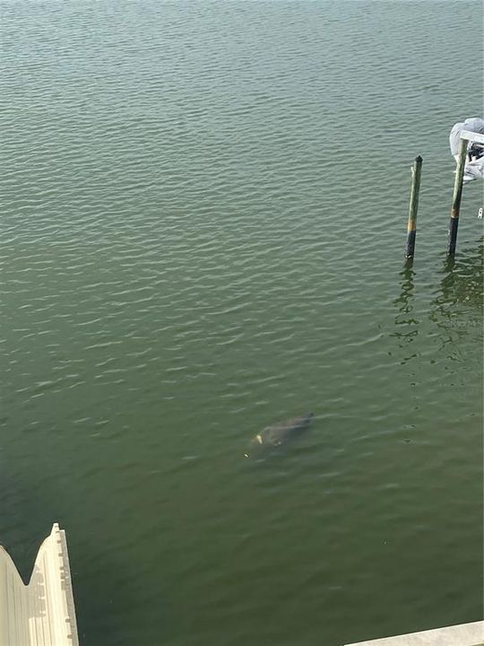 For Sale: $848,500 (3 beds, 3 baths, 1995 Square Feet)