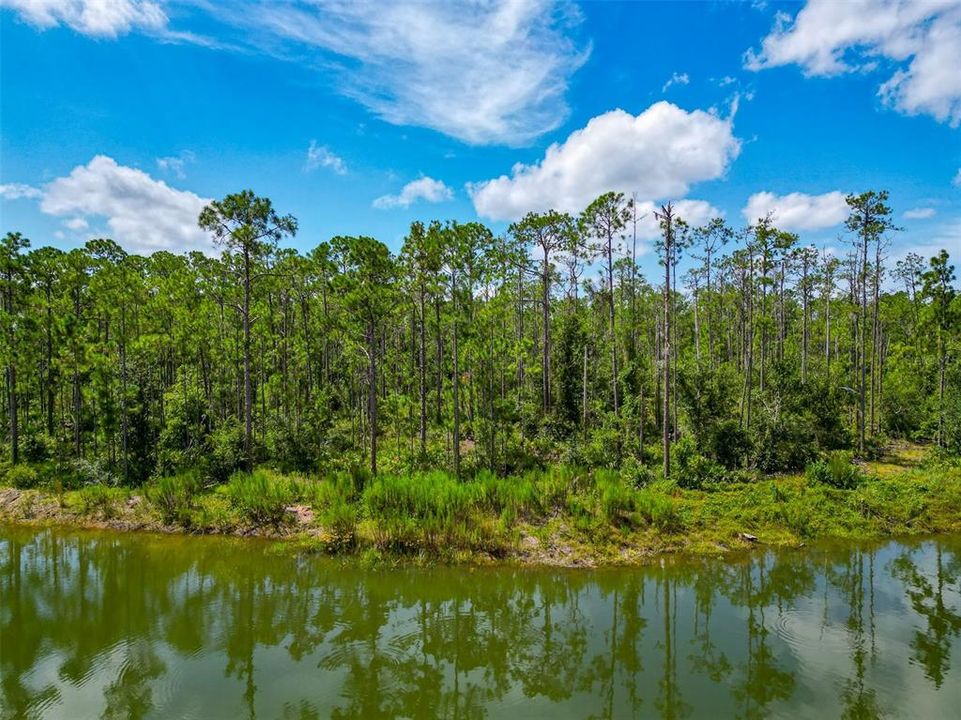 En Venta: $499,900 (7.09 acres)