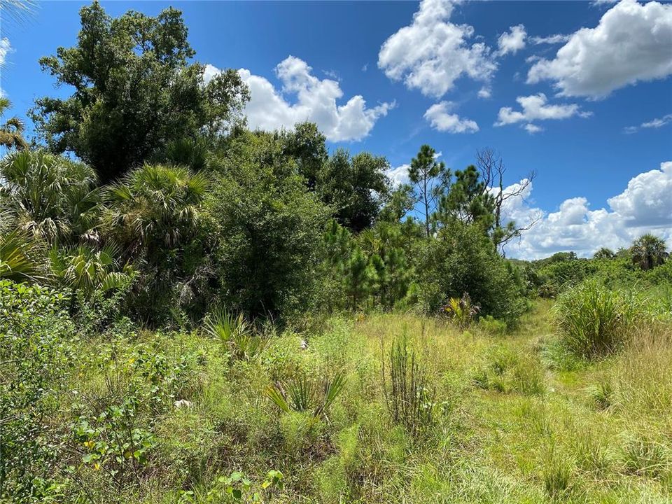 На продажу: $225,000 (3.34 acres)